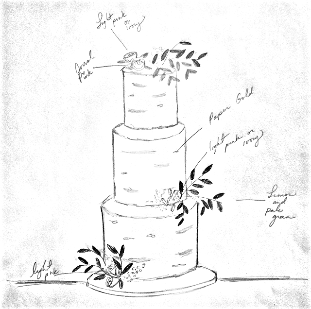 Cake Sketch Cake Sketch