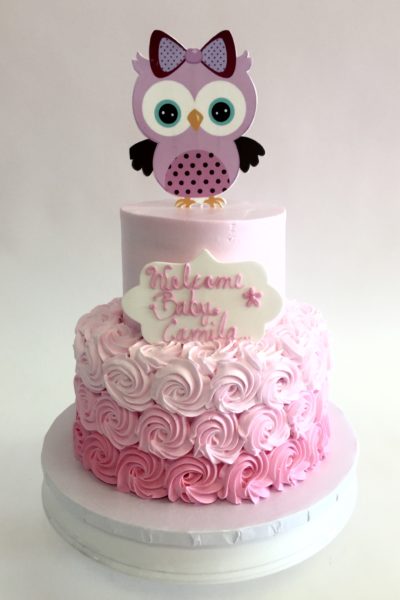 Baby Owl