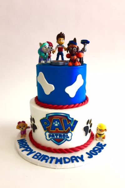 Paw Patrol Friends