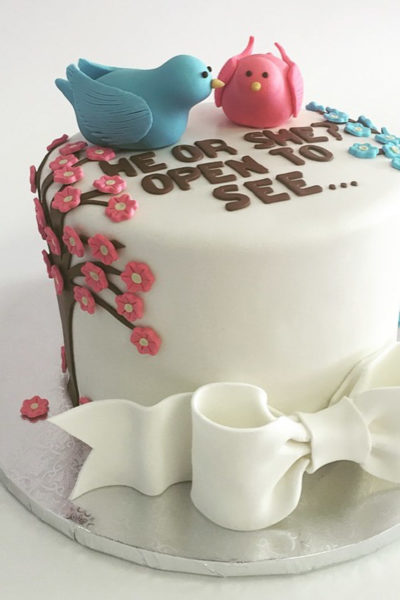 Gender Reveal Cake