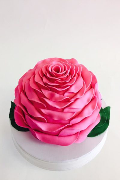 Rose Galore